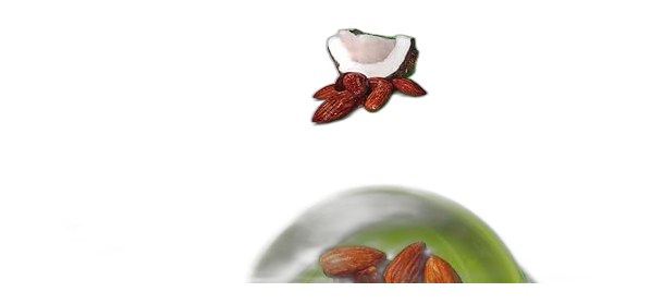 ONE Almond Bliss