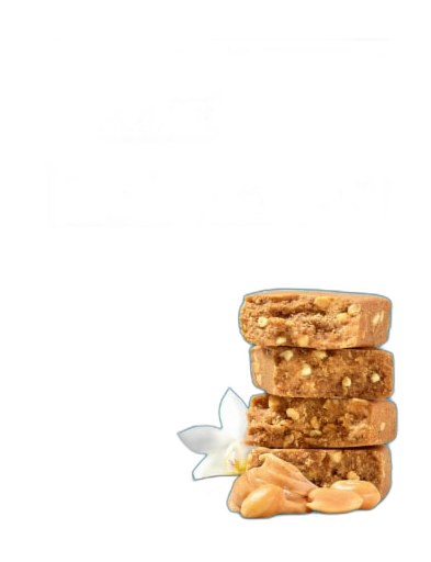 RXBAR Vanilla Peanut Butter